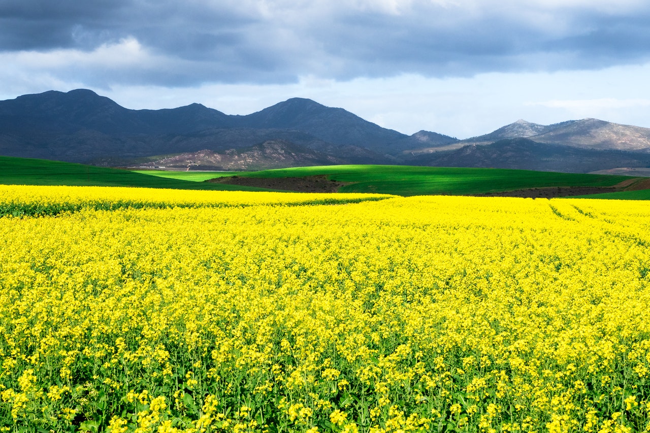 hope-and-potential-canada-s-climate-change-opportunity